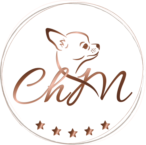 Chihuahuas Miami Logo