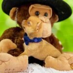 Teacup Chihuahua Hermes